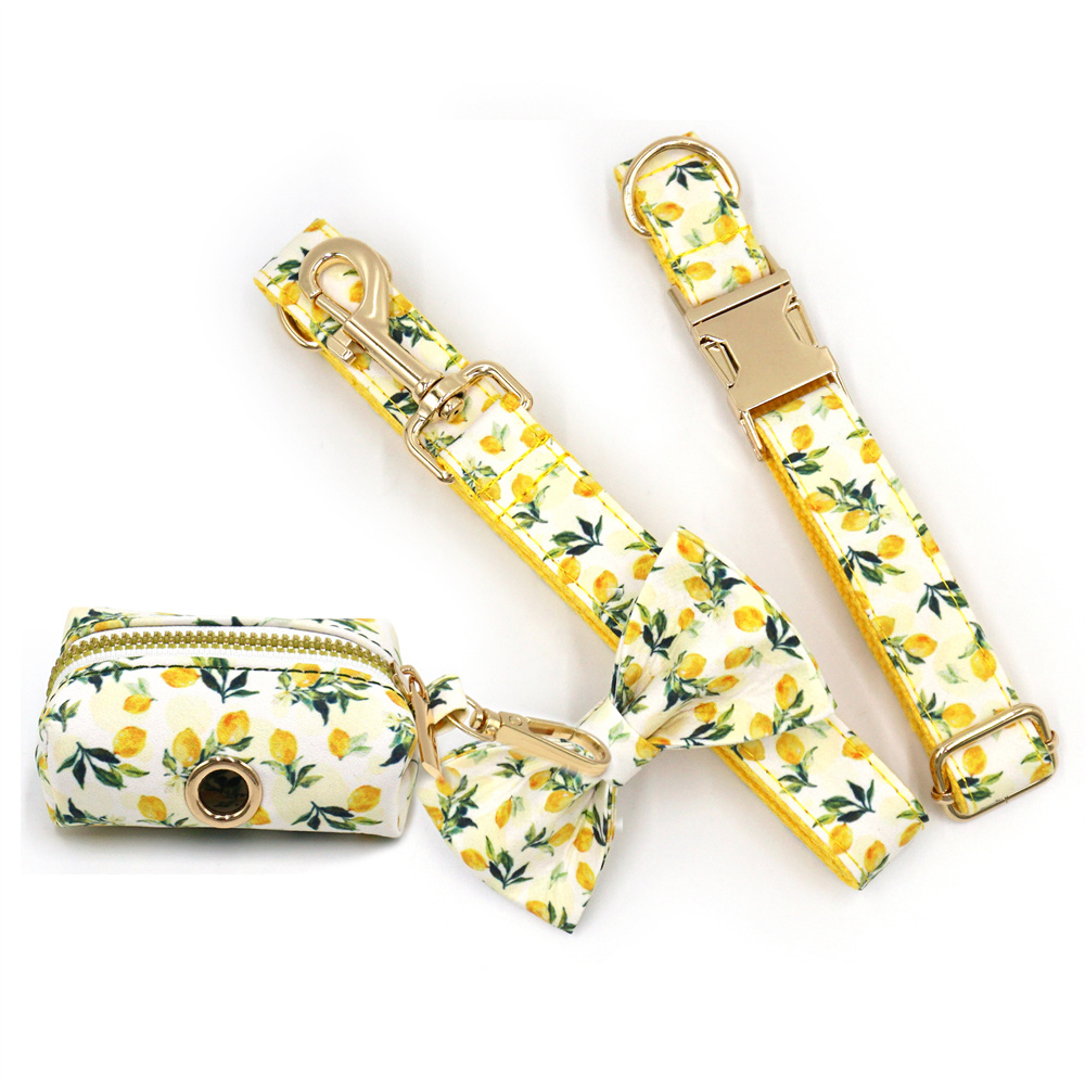 Personalized Pet Collar for Ca - Luxury Bags Medium Size recensie en prijs