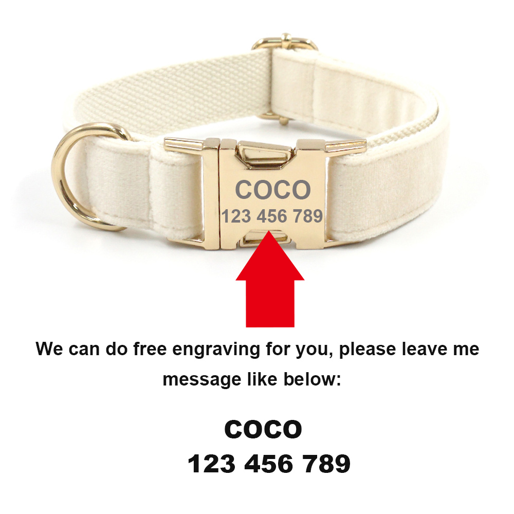 Personalized Pet Collar for Ca - Luxury Bags Medium Size recensie en prijs