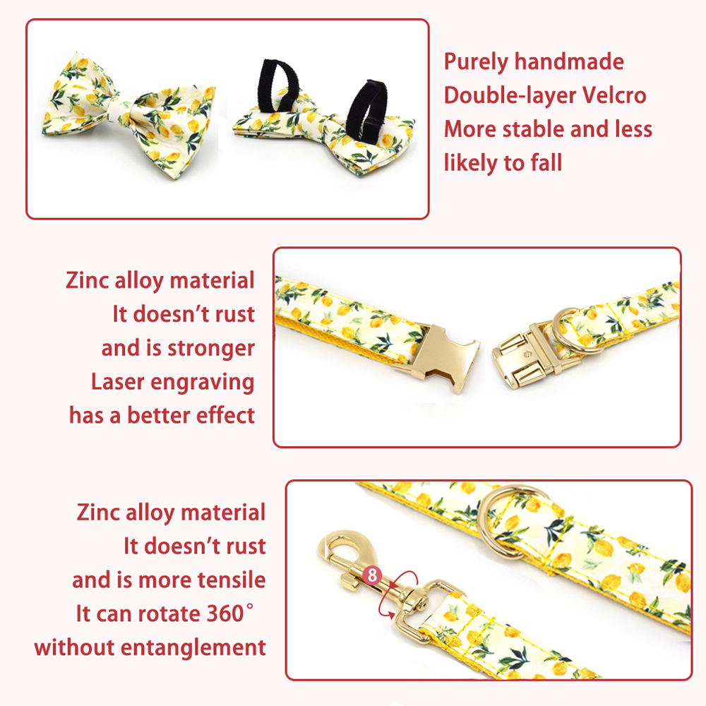 Personalized Pet Collar for Ca - Luxury Bags Medium Size recensie en prijs